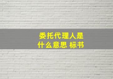 委托代理人是什么意思 标书